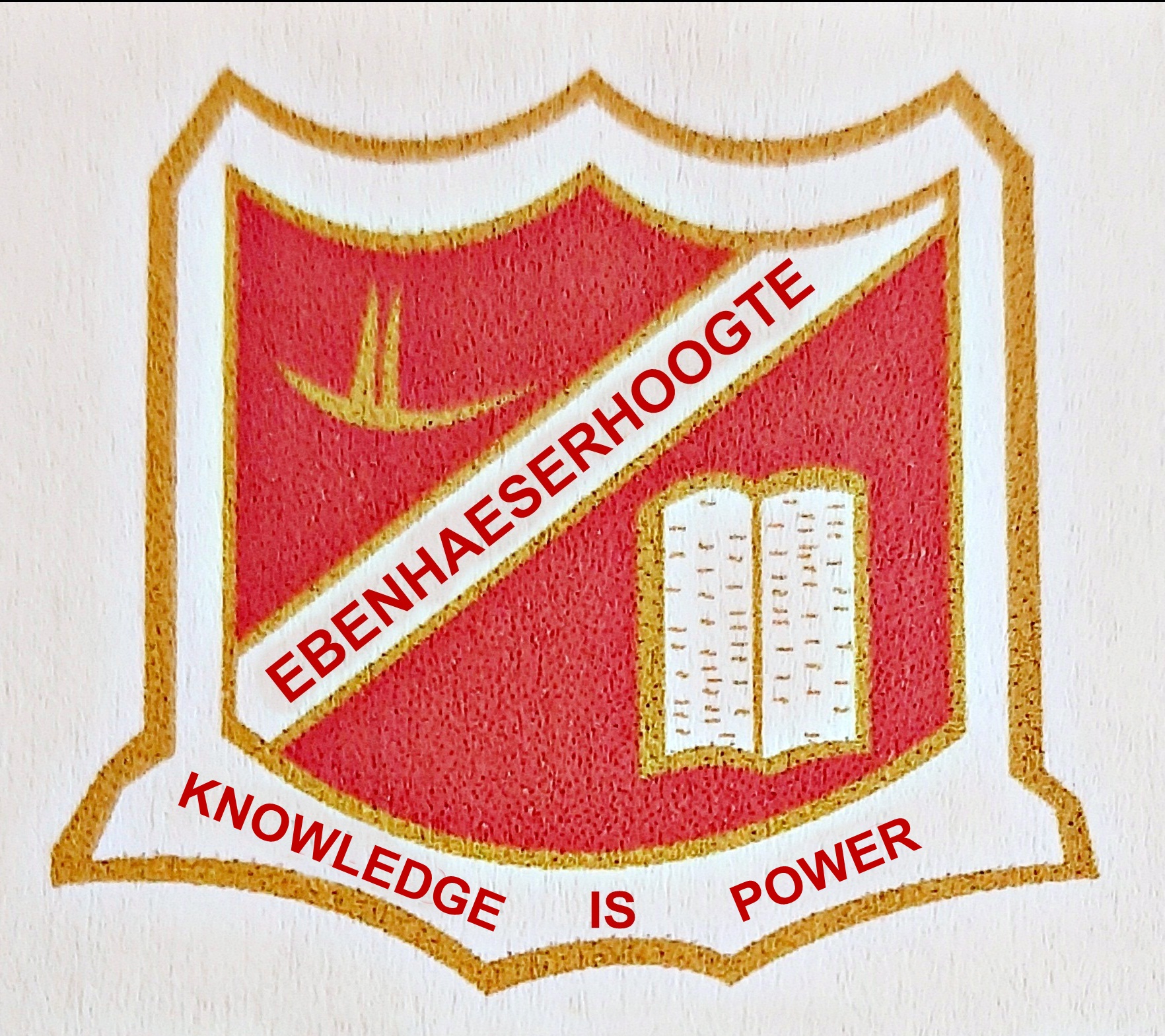 BADGE 6